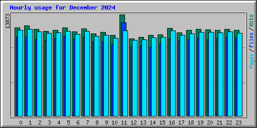 Hourly usage for December 2024